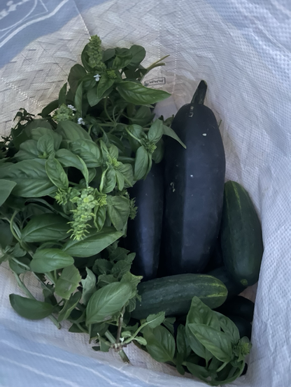 Imagen de una bolsa de rafia con calabacines, pepinos, hierbabuena y albahaca recién recolectadas