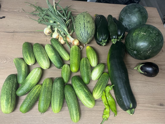 Imagen de una cosecha con calabacines, pepinos, pimientos, cebollas, melón, sandías y una berenjena sobre una encimera de madera