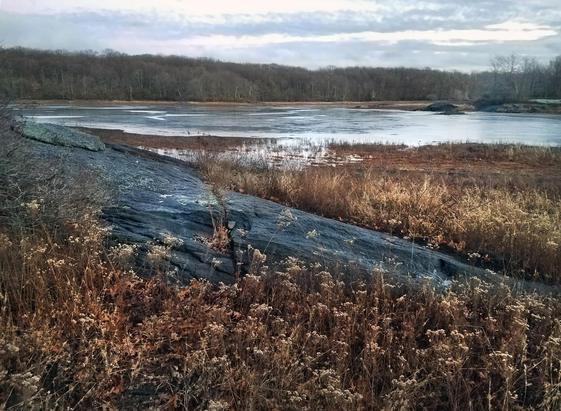 A dormant freshwater marsh beside a frozen lake on a rainy day in January. The dormant marsh grasses are wearing bronze and beige tones. A large dark blue-gray rock outcrop rising from the marsh is wet from rain. There are many puddles on the frozen lake surface. The forest on the far shore of the lake is filled with leafless trees. The sky is gray and overcast, streaked with darker gray clouds.