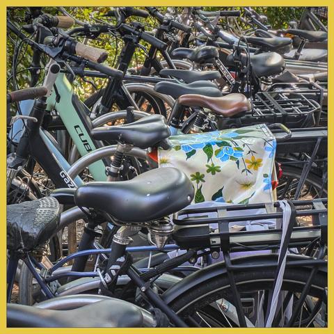 Twenty tight parked Dutch bikes in a bicycle parking lot in Middelburg