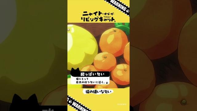 TVアニメ『ニャイト・オブ・ザ・リビングキャット』猫知識「猫の嫌いな匂い」