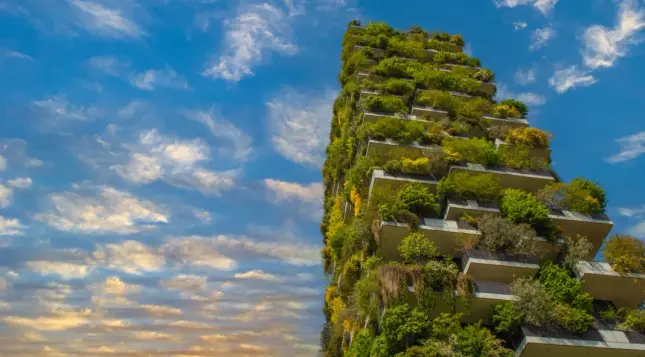 Biophilic Design in Architecture and Interior Design