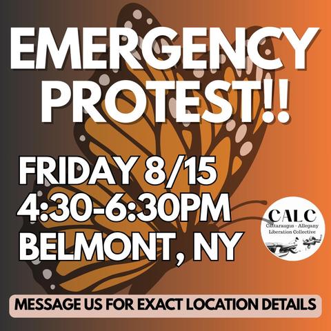 Image of a butterfly with text overlaid reading:
EMERGENCY PROTEST!! FRIDAY 8/15
4:30-6:30PM
BELMONT, NY
CALC Cattaraugus-Allegany Liberation Collective MESSAGE US FOR EXACT LOCATION DETAILS'
