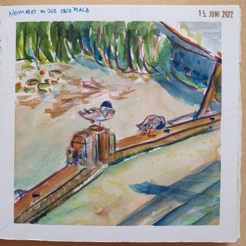 Aquarell und Buntstifte: Enten putzen sich auf einem Kanalwehr.