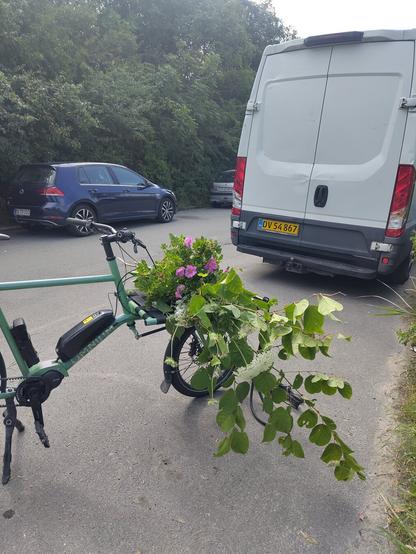 A cargo bike transporting freshly harvested plants.