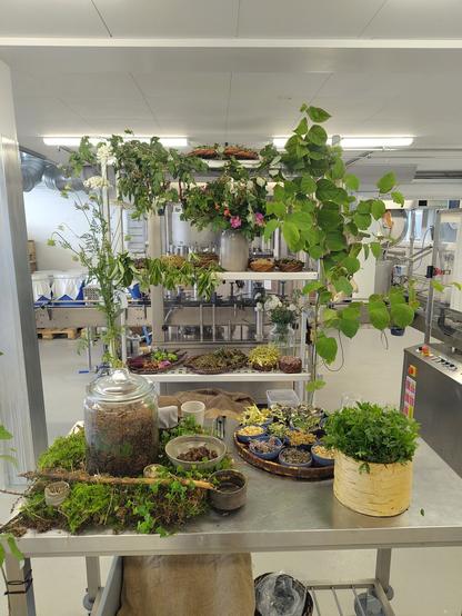 In same food production facility, rolling table and shelf with many fresh things.