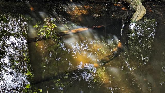 Small clear water stream against a brown earth background