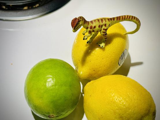 A green Dilophosaurus with brown spots stands on a bright yellow lemon alongside another lemon and a bright green lime atop a white stove. The back burner is slightly visible in the upper left corner.