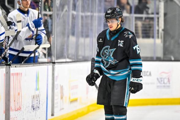 San Jose Sharks forward Danil Guschin.