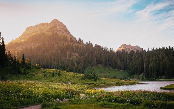 A field of vibrant wildflowers and a small body of water with sunlit mountains in the background.
