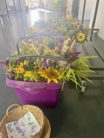 Ein Foto: Aus niedrigem Blickwinkel sind violette Plastikkörbe fotografiert, die voll mit gebundenen Kräuterbüscheln sind, wie es sie zu Mariä Himmelfahrt gibt. Hier sind allerdings auch viele Blumen dabei, gut zu erkennen sind violetter Sommerflieder und Sonnenblumen. Die Körbe stehen auf einem spiegelnd glänzenden Böden, rechts ist angeschnitten das Gestänge einer Garderobe zu erkennen. Ganz unten im Vordergrund ist noch ein leeres kleines geflochtenes Körbchen zu sehen, das mit einer Papierserviette ausgelegt ist. Das Ganze ist im Gegenlicht fotografiert, das vom Eingangsbereich im Hintergrund her kommt.