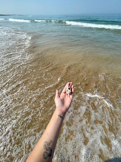 A hand holding a shell is extended toward the ocean, with gentle waves lapping at the shore. The background features a sandy beach and calm water under a clear sky. A tattoo of a snake decorates the forearm.