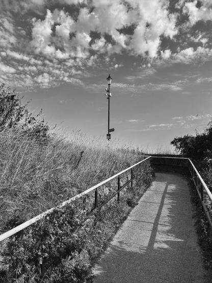 A black and white photograph of a path with railings leading up to a beach promenade. On the top is an ornate lamppost. The sky is full of fluffy clouds.