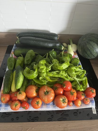 Imagen de recolecta… calabacines, pepinos, pimientos, sandía, cebolla y tomates