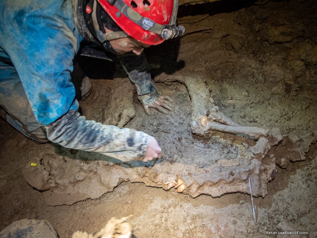 Dr. Alex Hastings working to excavate Petra