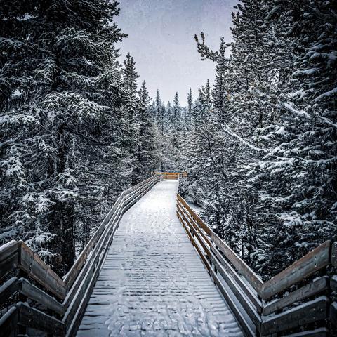 Sulphur Mountain // Banff, Canada