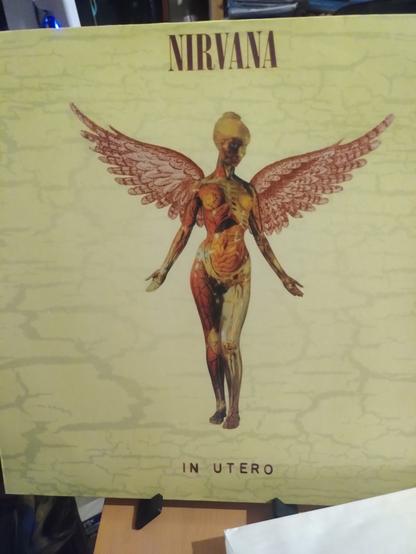 vinyl cover 
Nirvana - in utero
a yellow desert background
on first plan an angel skinned scalped with angel wings opened and arms hands waiting benediction