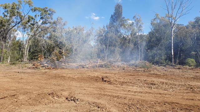Trees and shrubs burning on clearing for shed site. Bulldozer in background.