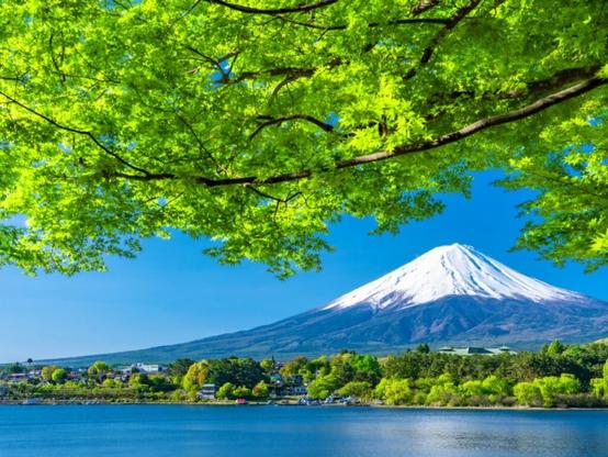 好き＆行ってみたい「山梨県の森林浴スポット」ランキング！ 2位「河口湖」を抑えた1位は？【2025年調査】 - All About ニュース