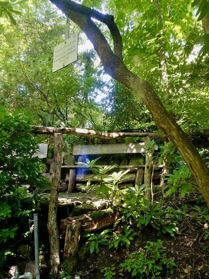 Holzbank in einer von Bäumen und Pflanzen eingerahmten Nische. Vorne ein schiefes Holzgeländer. Einzelne Lichteffekte des Sonnenlichts.