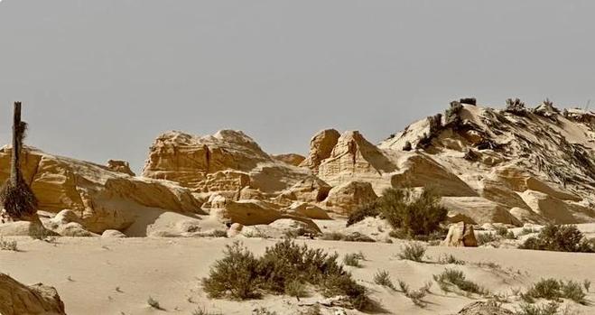 Debabcha est une localité tunisienne située dans le gouvernorat de #Kébili, au sud du pays, près du désert du #Sahara