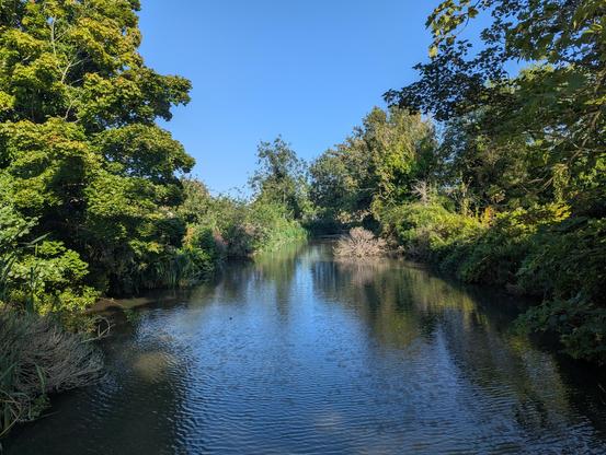 A view of a large pond on a late summer's afternoon. The clear blue sky is reflected in the slightly wind-ruffled water. The trees and shrubs surrounding are showing signs of their autumn colours 😍