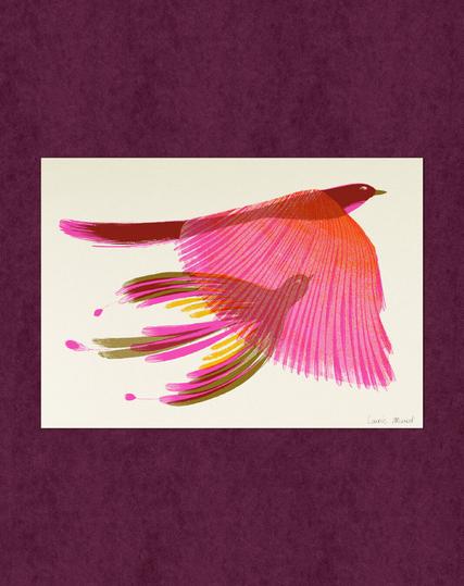 Illustration de 2 oiseaux roses en vol