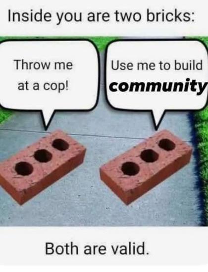 A picture of two bricks.

Inside you are 2 bricks, both are valid.

Brick 1: throw me at a cop! 
Brick 2: use me to build community