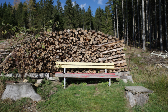 Farbfoto. Eine Parkbank mit gelber Lehne und roter, vergitterter Sitzfläche steht auf einer Wiese vor einem Holzstoß. Links und rechts im Vordergrund ein Baumstumpf. Im Hintergrund Bäume.