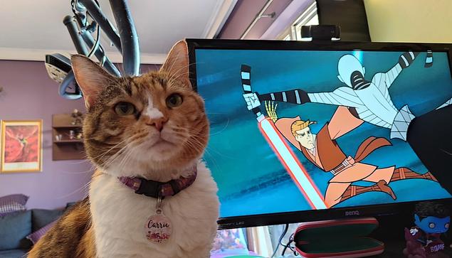 My calico cat Carrie standing in front of the PC monitor which is showing and instance from the 2003 animated Clone Wars, specifically showing Anakin Skywalker having a lightsaber duel with Asajj Ventress.