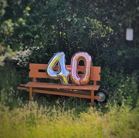 Eine Sitzbank aus Holz steht in einer Wiese mit hohen Blühgräsern, im Hintergrund wachsen dichte Büsche. Zwei Ballons mit Zahlen in Gold und Roségold stehen auf der Bank und bilden die Zahl 40.