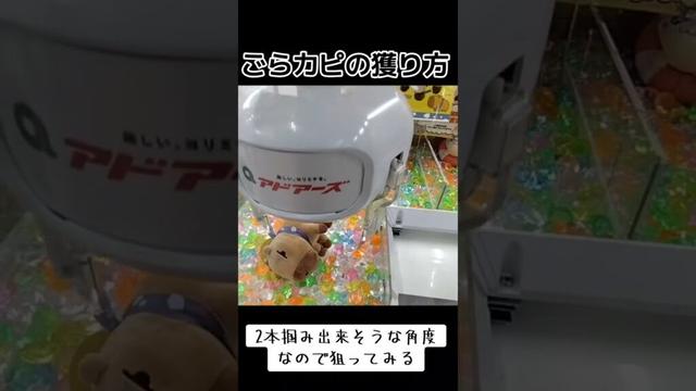 #攻略 #クレーンゲーム #100円娯楽 #ごらカピ #確率無視  クレーンゲーム 攻略  TikTok
