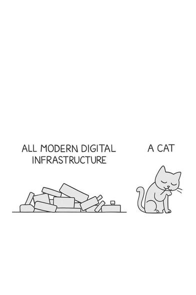 All Modern Digital infratructure pile and the cat