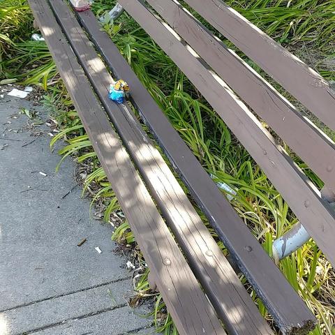 A wooden bench with human trash left behind