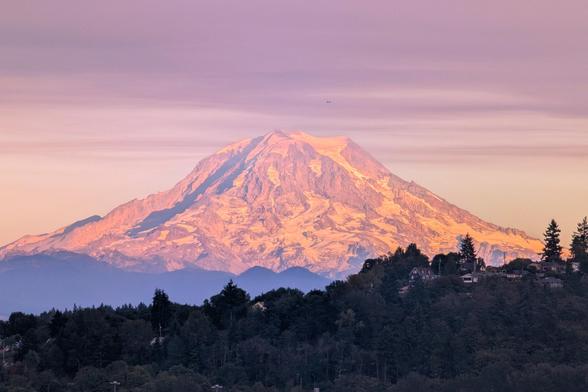 Mt Rainier (active stratovolcano in Washington State) at sunset. Trees in the foreground and high clouds above the mountain.