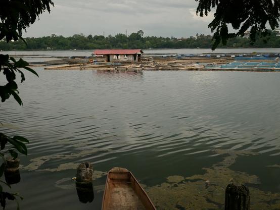 1/4
Fish farms in the lake. The fish pens are spread in small areas only, which does not crowd the lake.