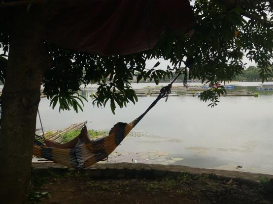 3/4
Another man with another form of relaxation, laying on a hammock under a tree, entertained by his phone.