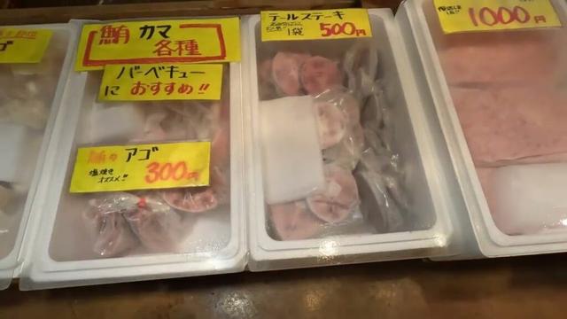 2025年8月17日三浦市三崎朝市