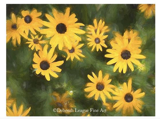 Field of Black-Eyed Susans oil painting. Rich yellow, multi-petaled flowers with dark brown centers surrounded by greenery flow diagonally across the canvas creating a cheery naturalistic image for your walls. We always have a nice crop of these perennial flowers in our backyard garden. The dense nature of the greenery helps fill in any bare space and come fall, the yellow finch we so enjoy watching daily take to the flowers to eat maturing seeds from the large dark centers. Symbolizing justice, encouragement and motivation, the Black-Eyed Susan is also the state flower of Maryland.