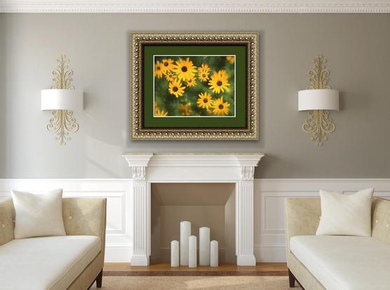 Framed art shown in a display room.