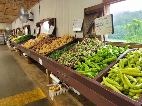 This photo shows the inside of a country produce market. Along the right side of the image is a long wooden display table filled with freshly harvested vegetables. Closest to the camera are piles of bright green peppers, neatly arranged in bins. Next to them are striped beans with streaks of purple and green, followed by baskets of potatoes—both red-skinned and golden. Further down the table, more vegetables are visible, including green beans and other fresh produce.

Above the table are handwritten signs on whiteboards listing the names and prices of the vegetables. One sign reads “Purple Hull Crowder Peas \$2.75 lb,” “Sweet Cubanelle Peppers \$1.50 each,” and “Osage White Okra \$3.25 lb.”

The market has a rustic feel, with wood-paneled walls, small open windows looking out onto lush green hills and trees, and a large fan mounted high on the wall for ventilation. The atmosphere is simple and homegrown, evoking the charm of a local farm stand.