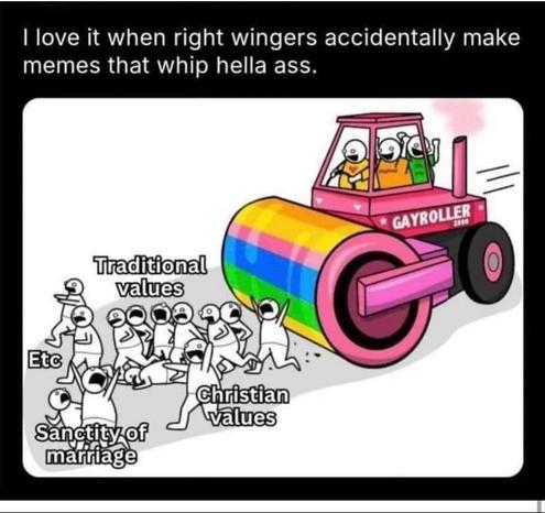 Caption: I love it when right-wingers accidentally make memes that whip hella ass

Drawing of a steamroller rolling over people labelled "traditional values", "christian values", and "sancity of marriage"