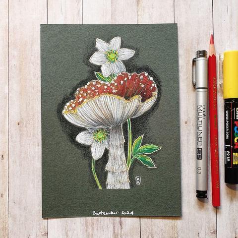 A colour drawing of a red and white Fly Agaric Mushroom with Wood Anemone, a little white wildflower. This drawing is in a cute illustrative style. 
An original art work
Colour pencil and mixed media on acid free toned artist paper
5 by 7 inches (12.7 by 17.8 cm). This is a standard photo size in the UK and USA and should be easy to DIY frame. 
Sold unframed