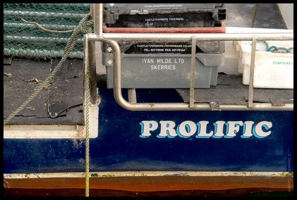 Close-up detail of the fishing boat "Prolific" showing its blue hull with white lettering, fishing equipment boxes labeled "Castletownbere Fishermans Co-op" and "Ivan Wilde Ltd Skerries", and green fishing nets in Ballycotton, County Cork.