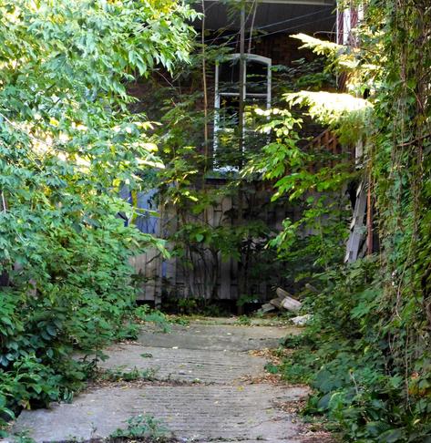 Accéder à l’arrière-cour d’une résidence du vieux quartier Saint-Jean-Baptiste, à Québec, c’est découvrir une végétation dense et luxuriante, en contraste saisissant avec les rues de devanture, dépouillées, nues, sans arbres.
© 2025, Chartrand Saint-Louis, photographie