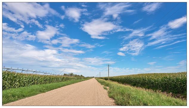 Gravel road stretching through a rural landscape with tall corn crops on the right and eft under a vast blue sky scattered with wispy clouds. An irrigation system is visible in the left cornfield, and power lines run along the roadside.