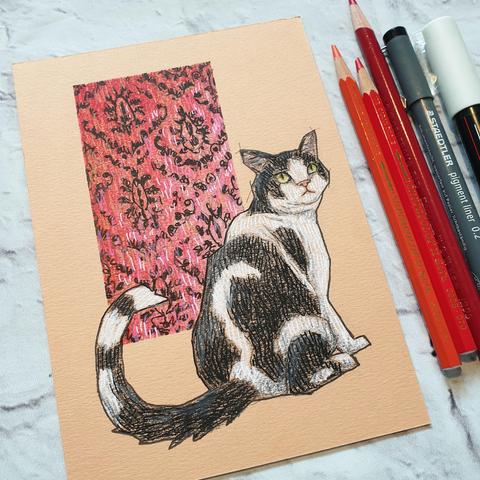 A small original drawing of black and white cat looking over his shoulder. The drawing has a background of a panel of red Victorian style wallpaper. The drawing is on peach toned paper.
An original art work
Colour pencil and mixed media on acid free toned artist paper
5 by 7 inches (12.7 by 17.8 cm).
Sold unframed
