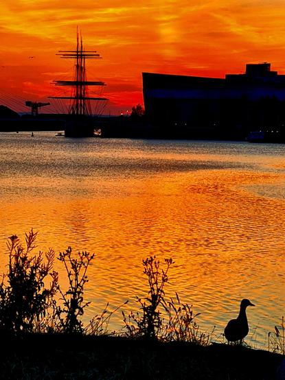 A tall ship and an industrial crane against the sunset, with a duck silhouetted ij the foreground.