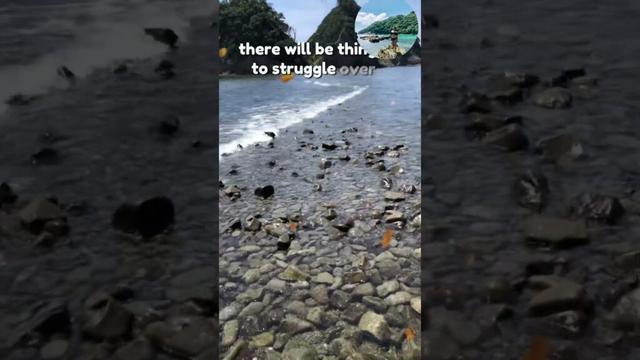 Summertime #japan #ytshorts #beachvibes #travel #myself