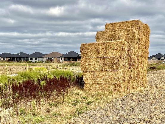 Image 2: a stack of hay bales awaits collection from a field bordering a just-built development of drive-only homes in the background as in image one. Enjoy the view, itâs rapidly disappearing.